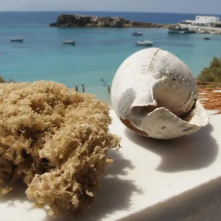 Nikos לפקוס קרפתאו